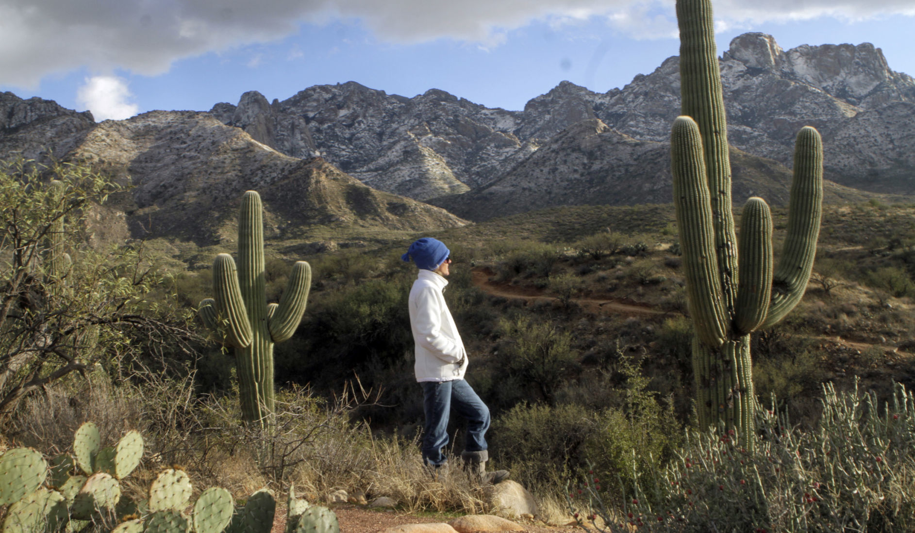 Catalina State Park
